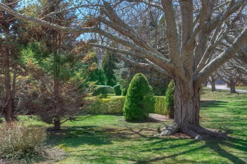 The Hamilton Hoppin House, Villa 120 Newport, Riミドルタウン エクステリア 写真