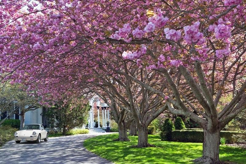 The Hamilton Hoppin House, Villa 120 Newport, Riミドルタウン エクステリア 写真