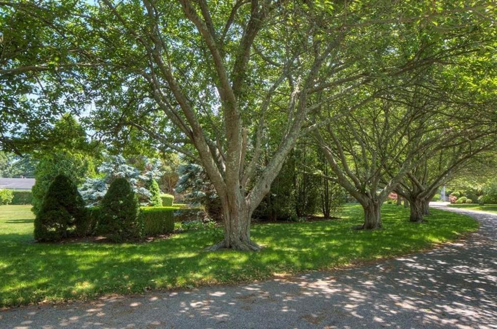 The Hamilton Hoppin House, Villa 120 Newport, Riミドルタウン エクステリア 写真